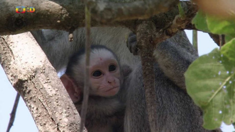 Moje zvířecí rodinka - 24. června 2020