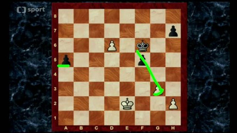 V šachu - 5. července 2013