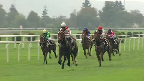 Turf - 8. října 2014