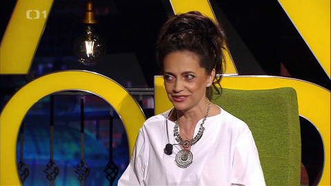 Všechnopárty - 21. června 2024