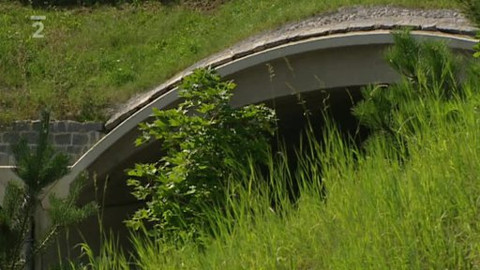 Nedej se! - Zelené mosty