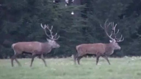 Tisíc let české myslivosti - 26. února 2009