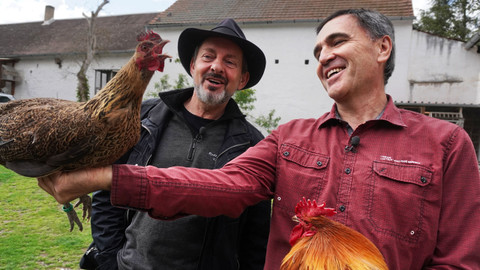 Co Čech, to chovatel - 2/8 Když dva dělají totéž...