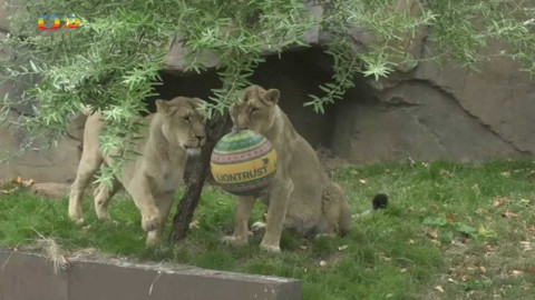 Zprávičky - 30. srpna 2018