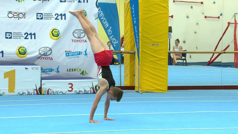 Olympiáda dětí a mládeže - Sportovní gymnastika