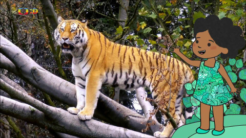 Velká kniha o zvířátkách - Epizoda 27/52