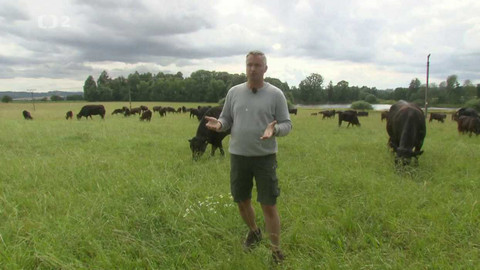 Nedej se! - Regenerujme půdu