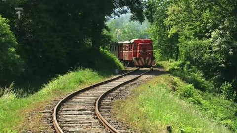 Toulavá kamera - 25. září 2011