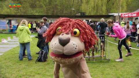 Lvíčata - 14. května 2016