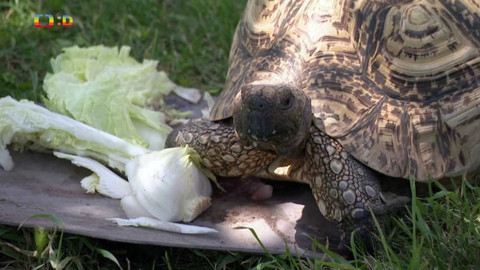 Terčin zvířecí svět - 9. září 2022