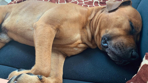 Test iV - Testovací název dílu