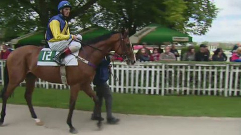 Jezdectví - Velká jarní cena 2012