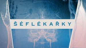 Obrázek pořadu Šéflékařky