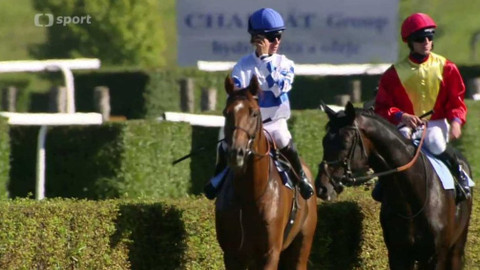 Jezdectví - Velká letní cena 2016