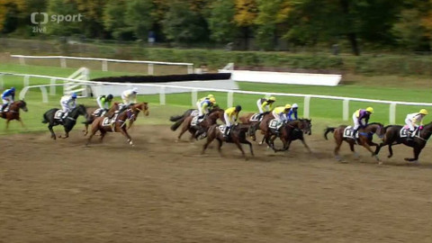 Velká pardubická - 125. Velká pardubická