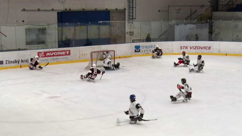 Hokej - SHK LAPP ZLÍN - Olomoučtí Kohouti