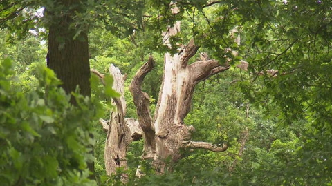 Nedej se! - Objímat můžeme, chránit musíme