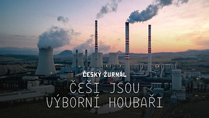 Obrázek pořadu Češi jsou výborní houbaři
