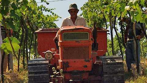 Putování za vínem - 3/16 Apulie, Abruzzo