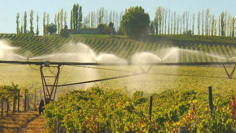 Putování za vínem - 9/16 USA - Pacifický severozápad