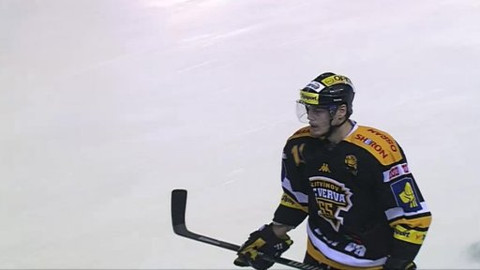 Buly hokej - Bílí Tygři Liberec - HC VERVA Litvínov