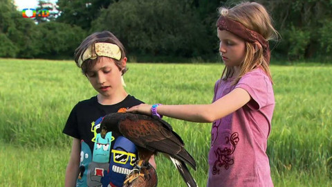 S Hubertem do lesa - Náčelník Dravec