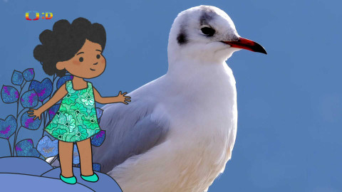 Velká kniha o zvířátkách - Epizoda 23/52