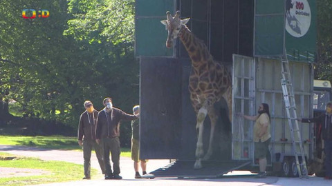 Zprávičky - 28. května 2020