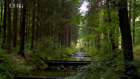 Folklorika - Jesenický Klondike