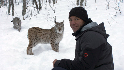 60 zvířecích zabijáků - Epizoda 17/20