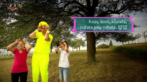 Hopsasa - Rohatá zábava