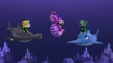 Tlapková patrola - Vodní tlapky zachraňují Víldingera / Tlapky zachraňují rybkátor