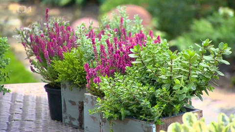 Polopatě - 4. října 2020