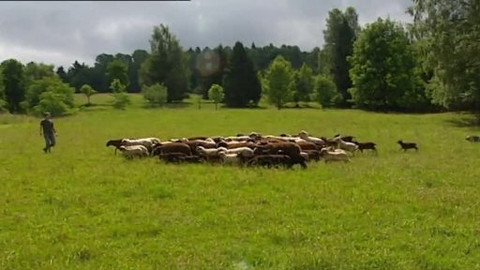 Přidej se - Salašnictví v Beskydech
