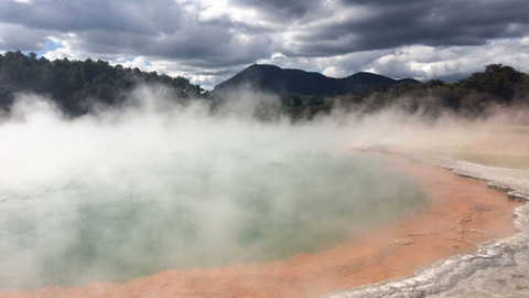 Kiwiland - 1/5 Maoři