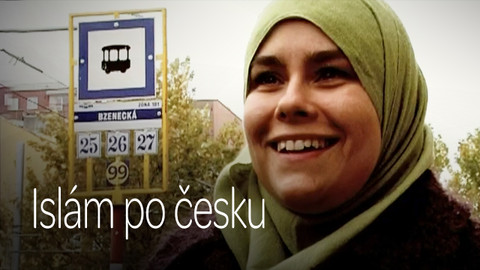 Islám po česku