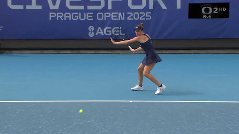 Prague Open - Livesport Prague Open