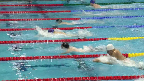 Plavání - ČP Plzeň