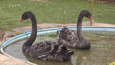 Hobby naší doby - 3. června 2023