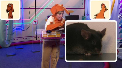 Telefon - 9. září 2016