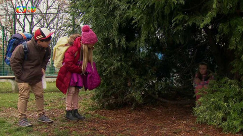 Agent v kapse - Špatné známky