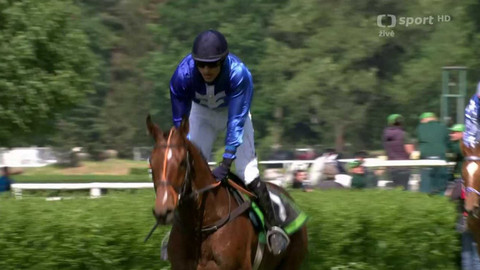 Dostihy - Kvalifikace na 132. Velkou pardubickou se Slavia pojišťovnou