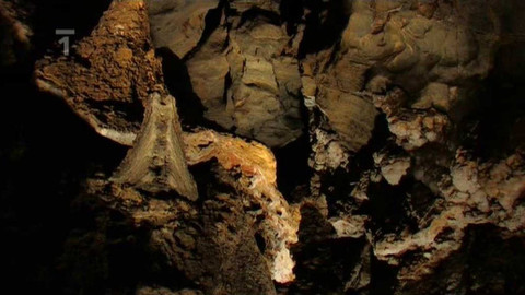 Živé srdce Evropy - Zbrašovské jeskyně