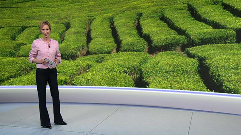 Horizont ČT24 - 29. dubna