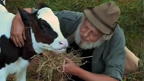 Příběhy o telátku - Epizoda 4/7