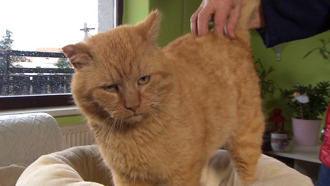 Chcete mě? - Chcete je?