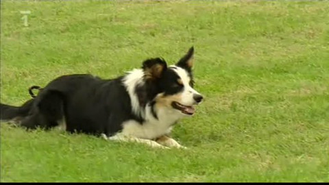 Kaleidoskop - 31. října 2010