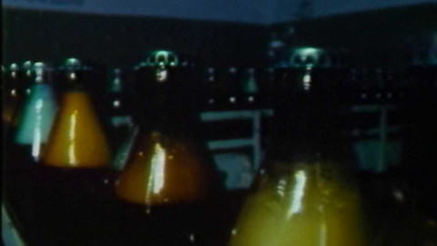 Archiv dne - 11. červenec 1988: Kvalita piva