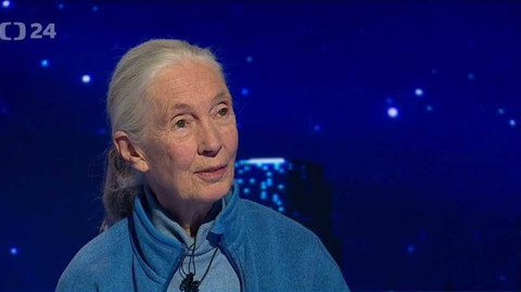 Hyde Park Civilizace - Jane Goodall