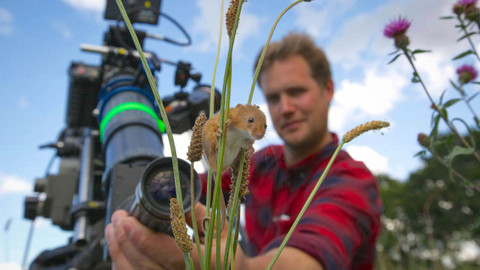 Planeta Země - Planeta Země II - momenty z natáčení